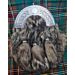 Full Dress Fox Fur Sporran